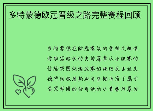 多特蒙德欧冠晋级之路完整赛程回顾